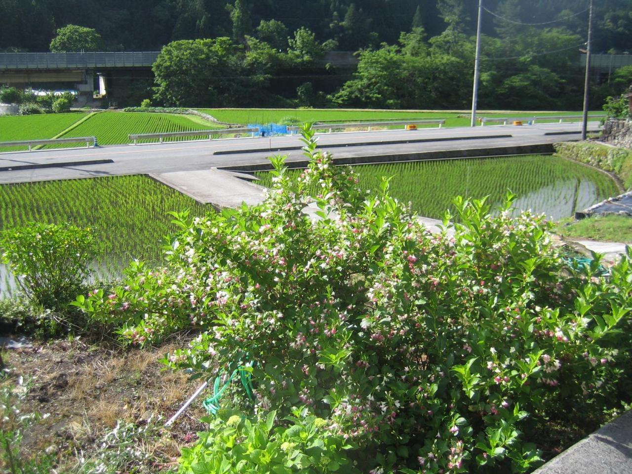 Niimi Japanese Style Inn Dohzen Miwa מראה חיצוני תמונה