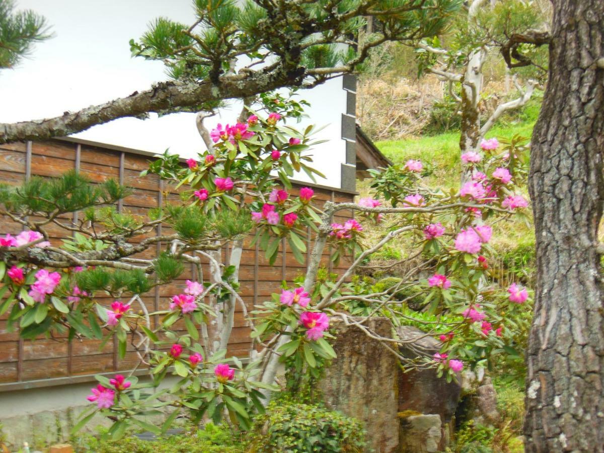 Niimi Japanese Style Inn Dohzen Miwa מראה חיצוני תמונה