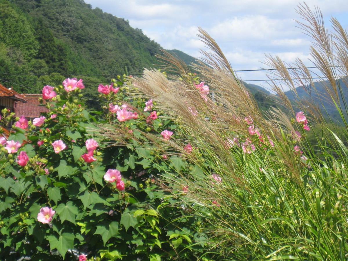 Niimi Japanese Style Inn Dohzen Miwa מראה חיצוני תמונה